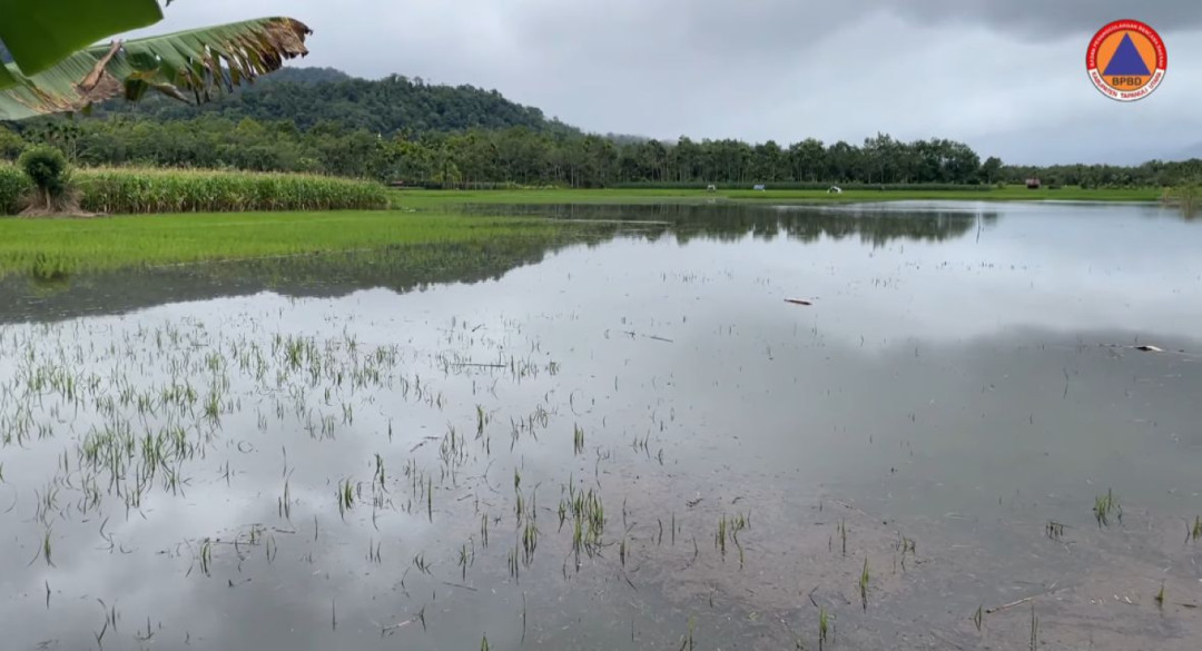 Kemenkes Ingatkan Ancaman Leptospirosis Pascabanjir