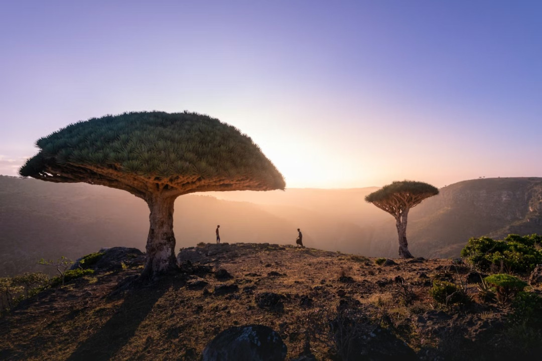 600 Turis Terdampar di Socotra, Kemlu RI: Ada 3 WNI