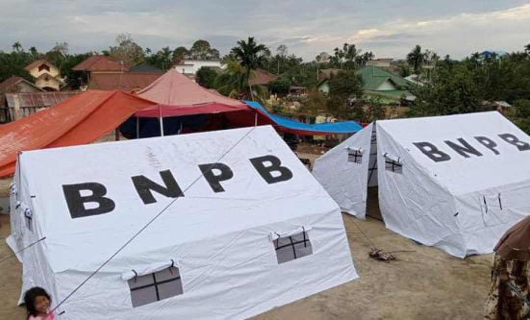 BNPB: Tenda Pengungsian di Aceh Tamiang Sudah Terpasang di 12 Kecamatan