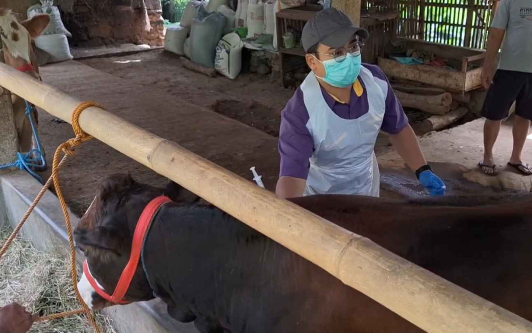 Dinas Pertanian Kulonprogo Tingkatkan Kewaspadaan Hadapi Penyakit Antraks
