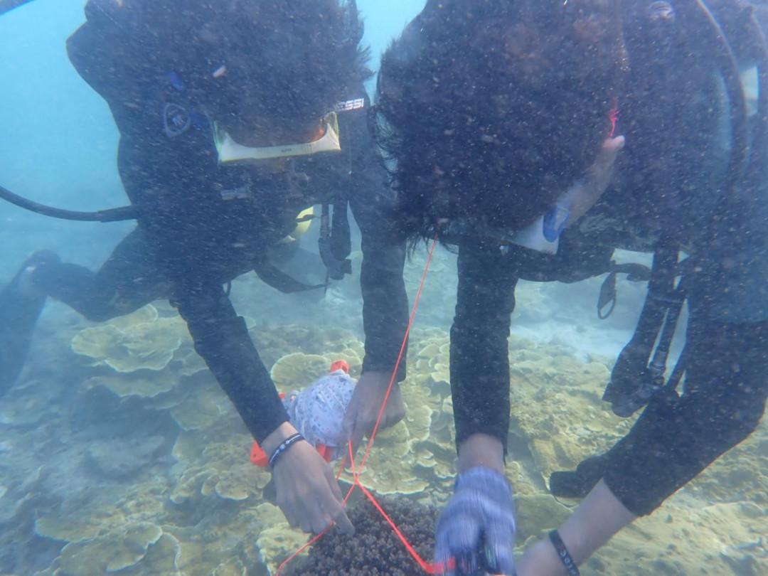 Ekspedisi Mahasiswa Ungkap Kekayaan Laut di Perbatasan Selat Malaka