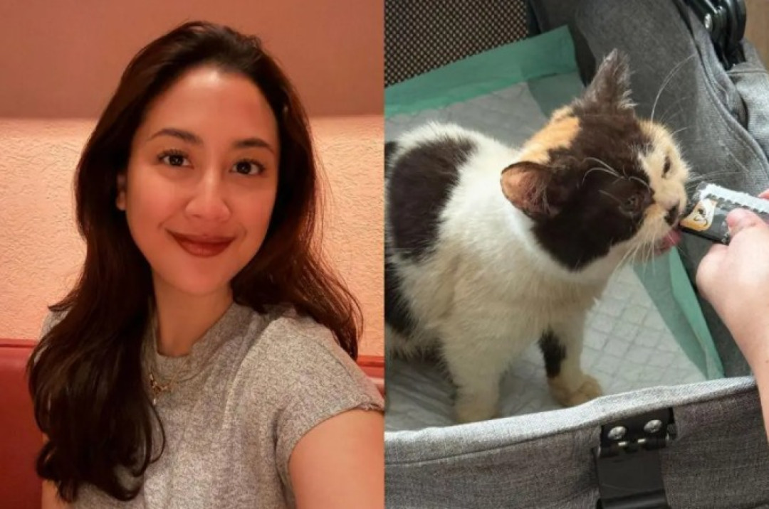 Sherina Diminta Klarifikasi Terkait Kucing yang Disebut Milik Uya Kuya