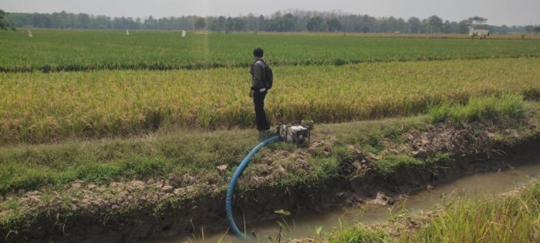 Kementan Waspadai El Nino Ekstrem Mulai April