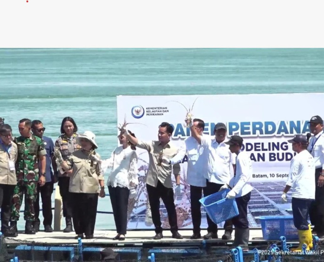 Wapres Gibran dan Titiek Soeharto Perkuat Budidaya Lobster di Batam