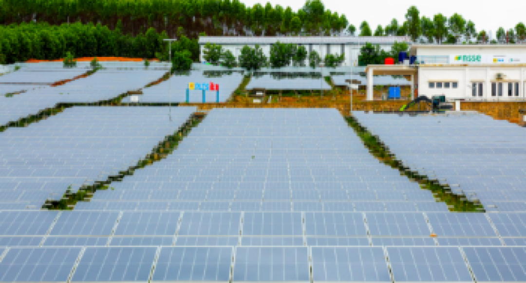 Kerjasama Investasi Indonesia-Singapura di IKN, Bangun Proyek Infrastruktur PLTS