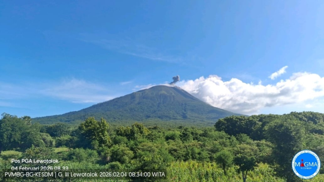 Gunung Api Ile Lewotolok Alami Erupsi Pertama Awal Februari, Kolom Abu Capai 200 Meter