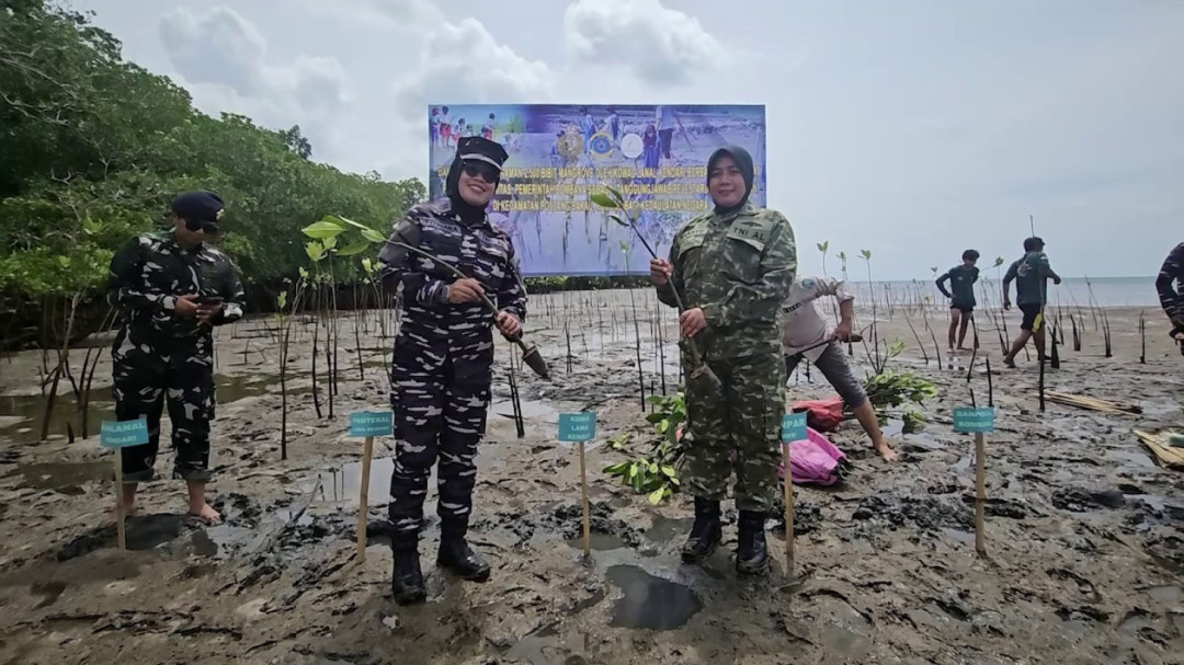 Lanal Kendari Tanam 2.500 Mangrove di Bombana