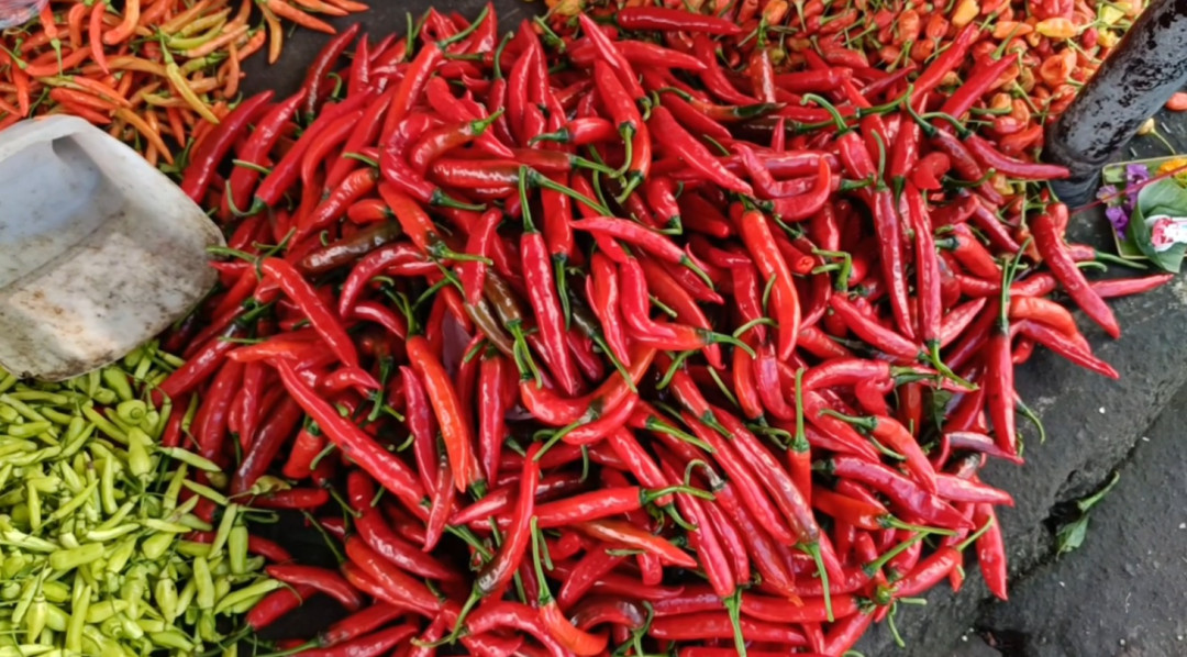 Harga Cabai Merah di Pasar Galiran Klungkung Tembus Rp95 Ribu per Kg