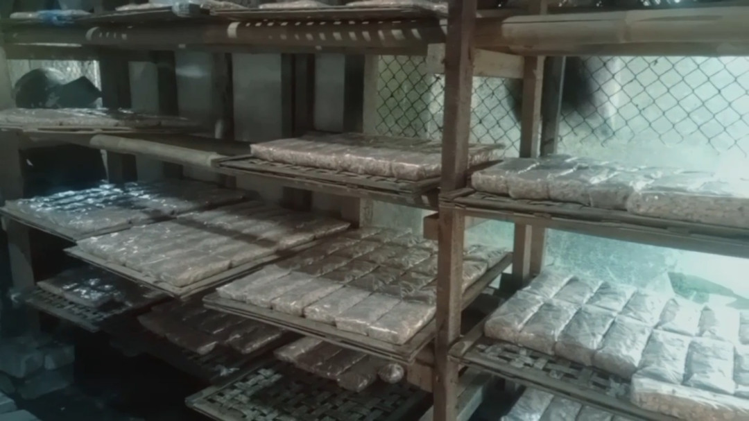 Harga Kedelai dan Plastik Meroket, Perajin Tempe Subang Tertekan