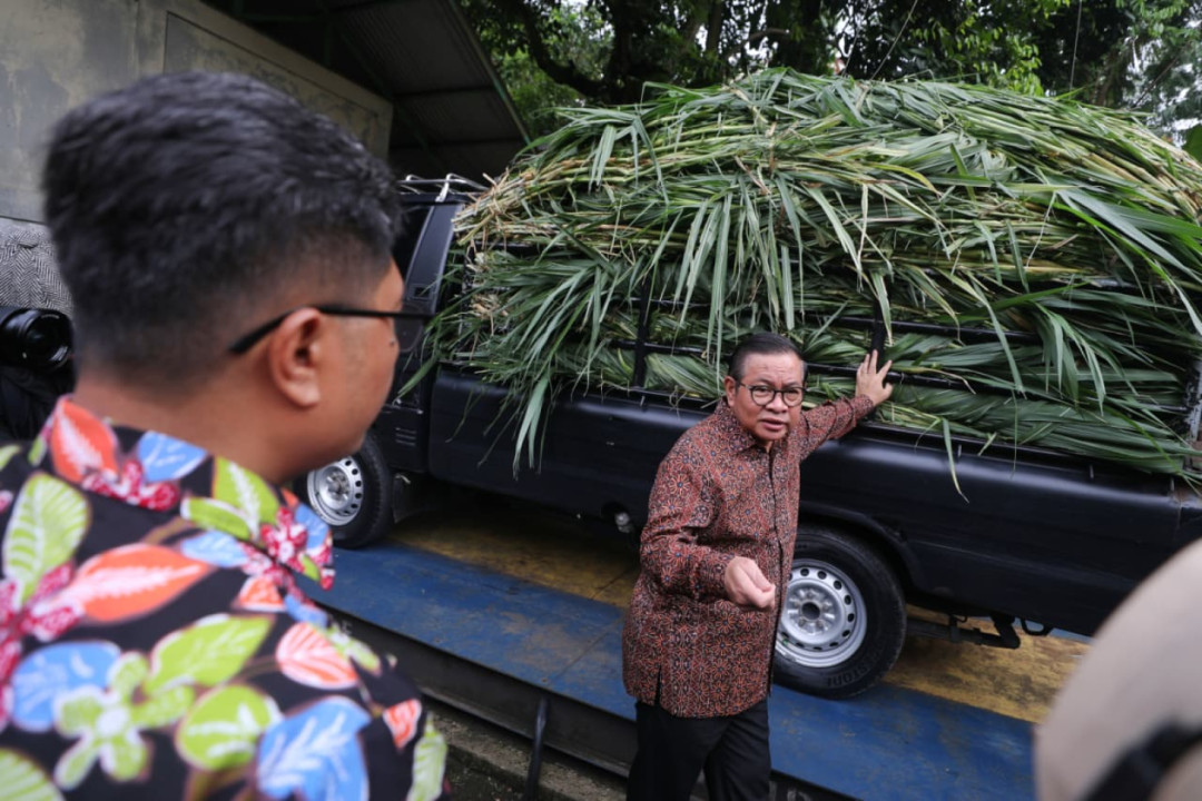 Gubernur DKI Pastikan Satwa Ragunan Sehat dan Pakan Terkelola Baik