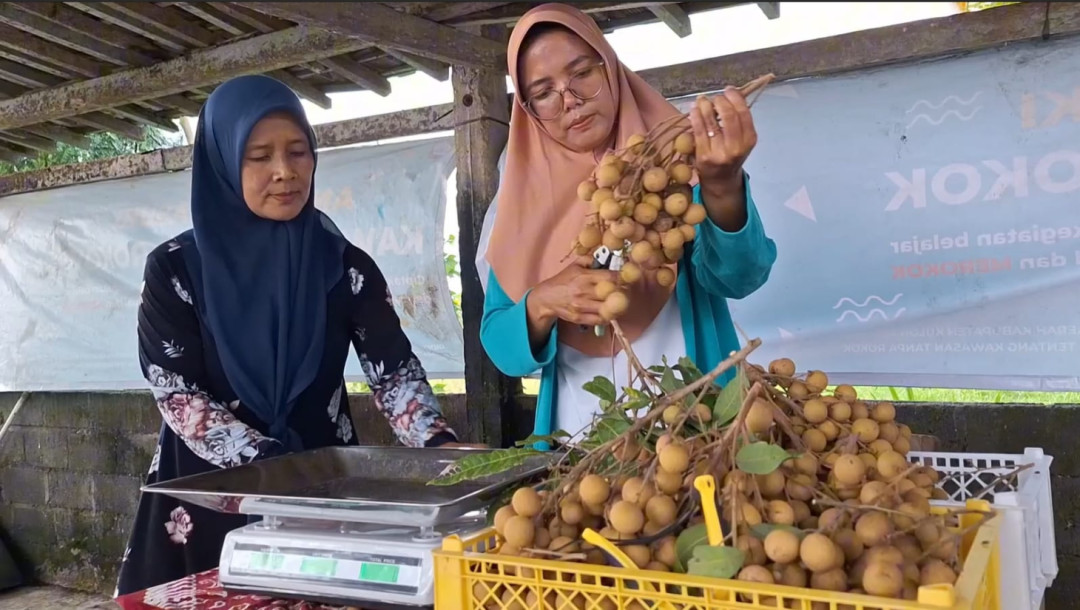 Wisata Petik Kelengkeng, Alternatif Liburan di Kulon Progo