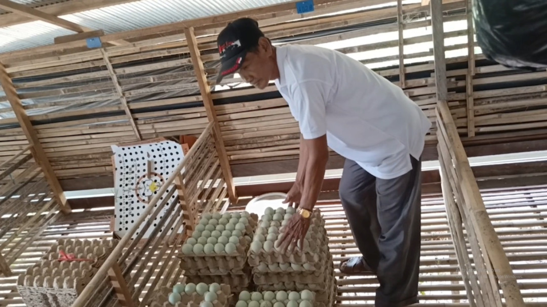 148 Koperasi Merah Putih Resmi Berdiri di Kabupaten HSS