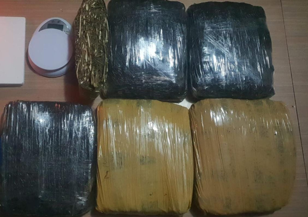 Polisi Tangkap 3 Orang Kasus Peredaran Ganja di Jakarta 