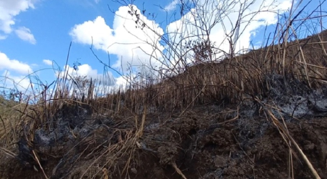 BMKG Temukan 17 Hotspot di Tiga Kabupaten di Sumatera Barat 