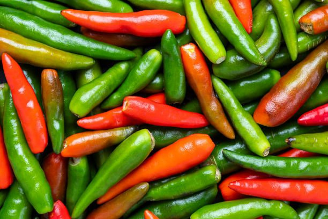 Harga Cabai Rawit Merah Tembus Rp118.950 per Kg di Jakarta