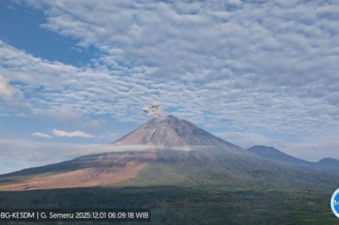 Gunung Semeru Kembali Erupsi, Kolom Abu Capai 900 Meter