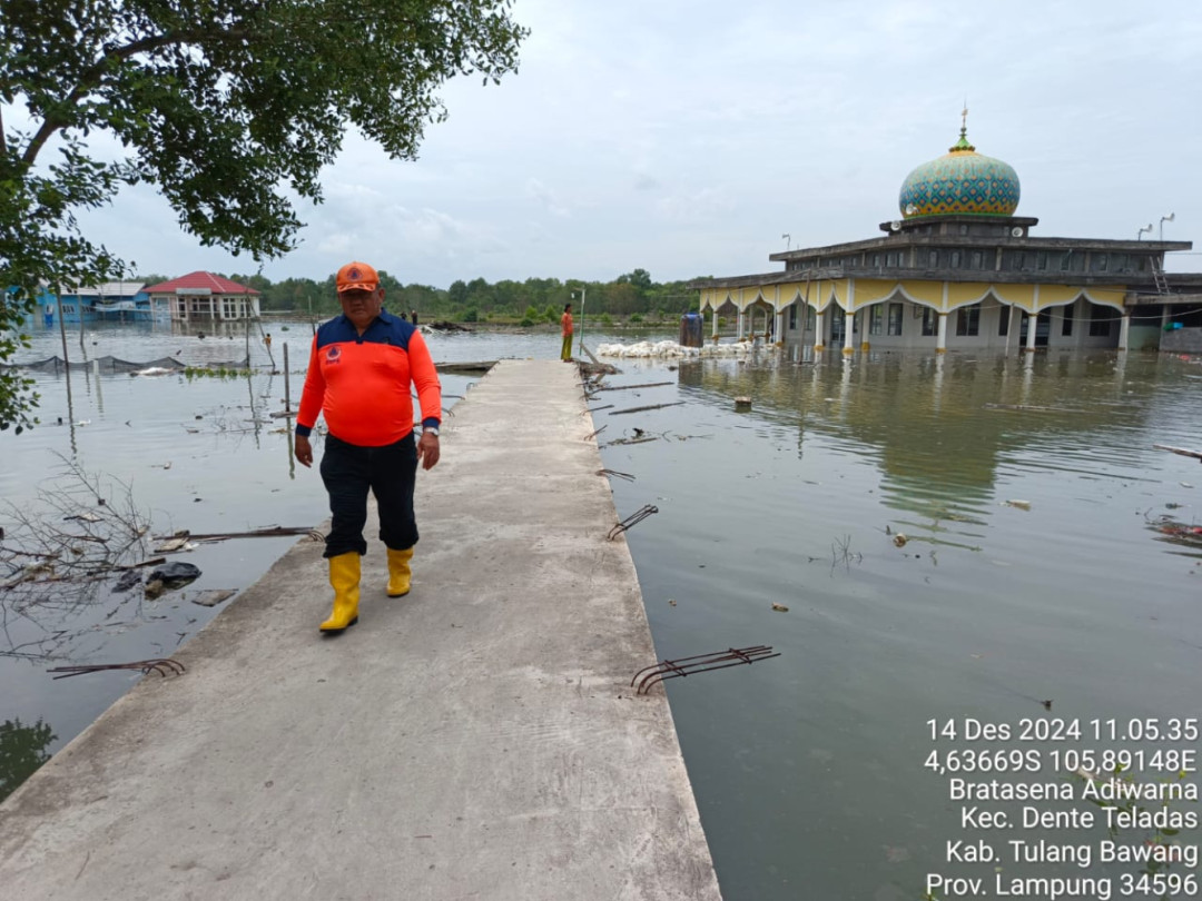 Banjir Rob Landa Kabupaten Tulang Bawang, Lampung: Ribuan Rumah Terendam