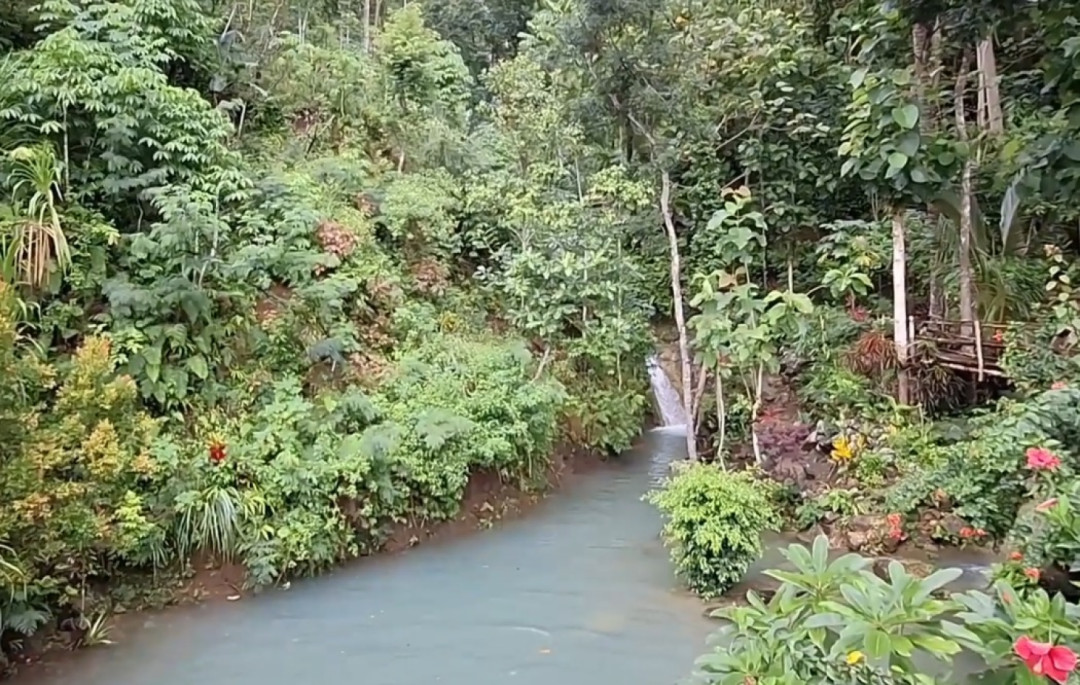 Bukit Sebantung, Surga Tersembunyi di Perbukitan Menoreh