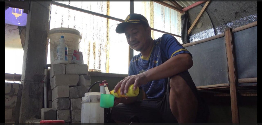 Seorang Guru di Lamongan Sukses Menjadi Peternak Bebek Pedaging