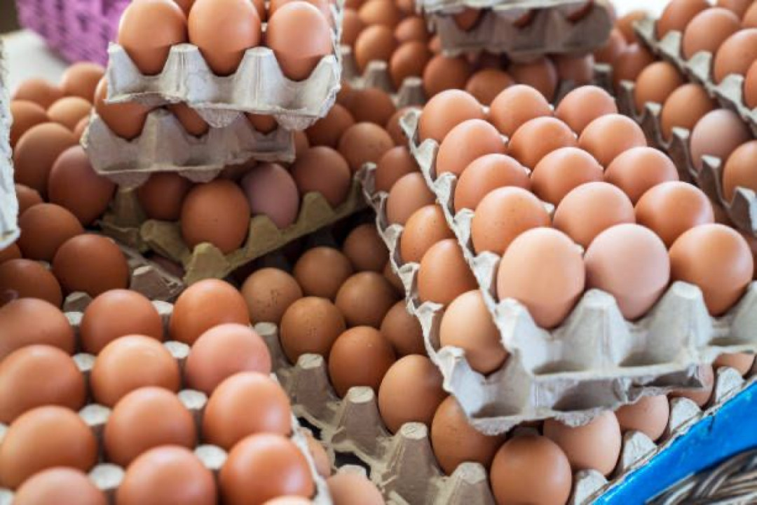 Harga Pangan Nasional Berfluktuasi, Telur dan Cabai Naik, Sebagian Komoditas Turun