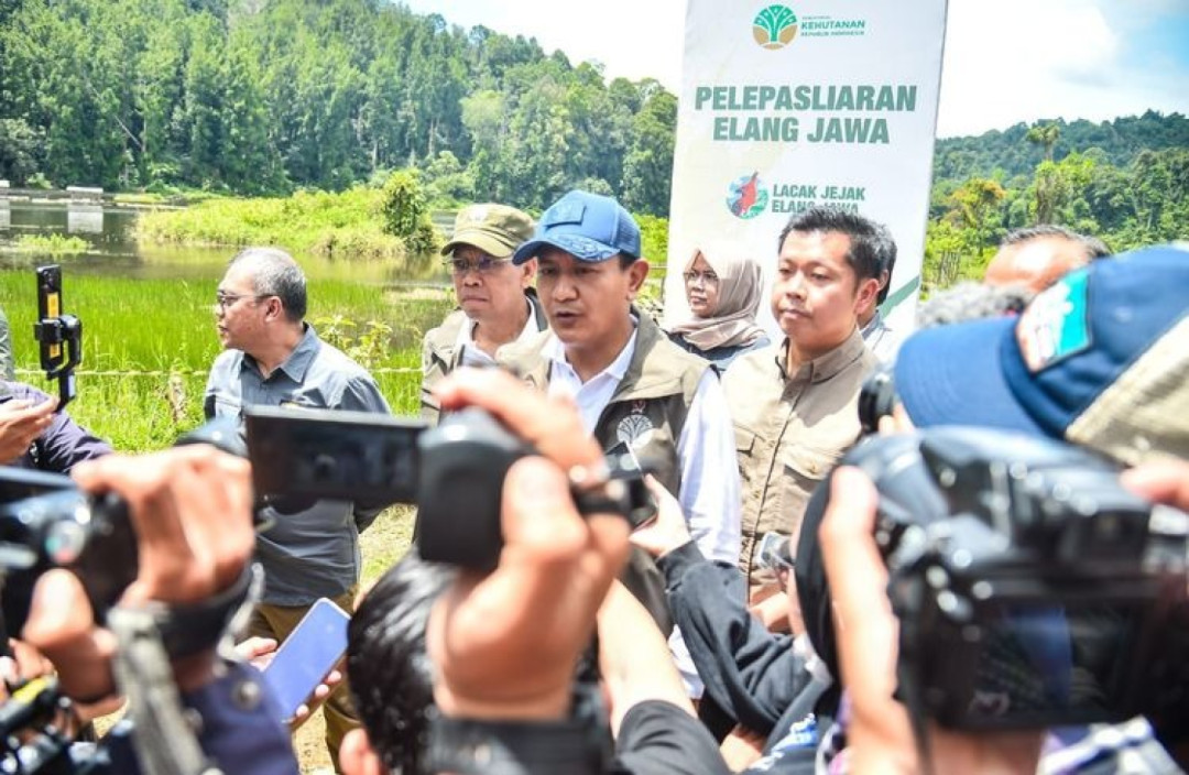 Kemenhut Lepasliarkan Elang Jawa 'Raja Dirgantara' di TN Gunung Gede Pangrango