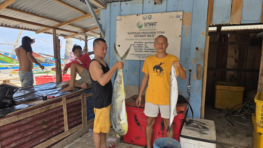 Program MBG Dongkrak Ekonomi Nelayan Kaur, 1,5 Ton Tuna Diserap Tiap Bulan