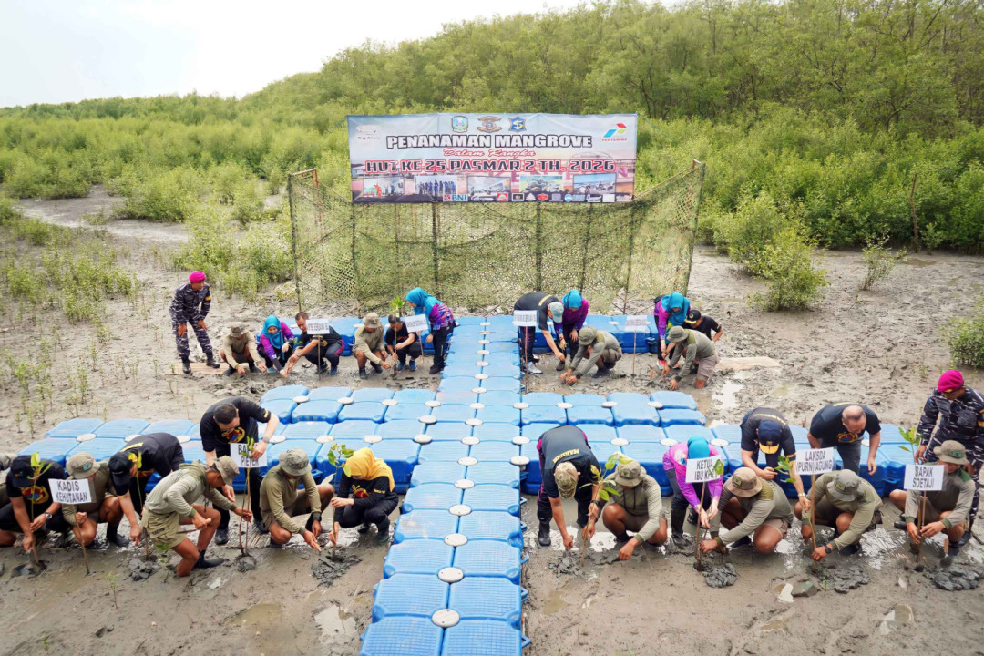 TNI AL-Pemprov Jatim Bersih Pantai dan Tanam 1.200 Mangrove di Kenjeran