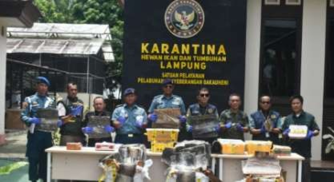 Penyelundupan Satwa Ilegal Digagalkan di Bakauheni