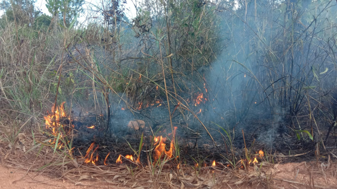 BREAKING NEWS: Karhutla Landa Desa Kelong, Ratusan Meter Lahan Hangus Terbakar
