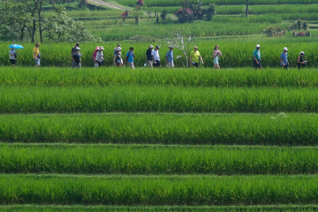 Mengenal Subak, Kearifan Lokal Bali yang Akan Diperkenalkan dalam World Water Forum ke-10