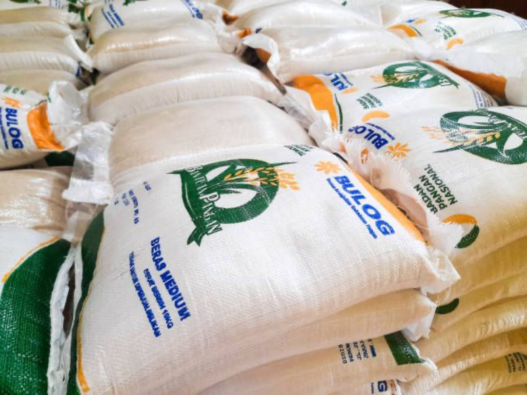 Bapanas: Bantuan Beras 20kg untuk 18,3 Juta KPM Dimulai Akhir Juni