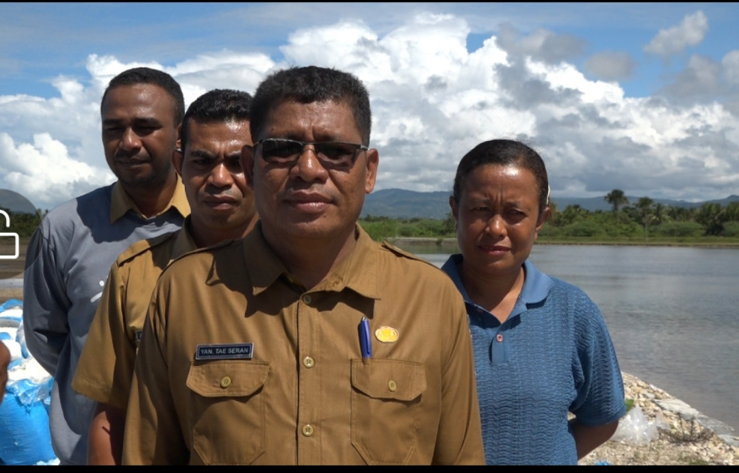 Pemkab Malaka Dorong Pusat Kelola Tambak Garam Weoe