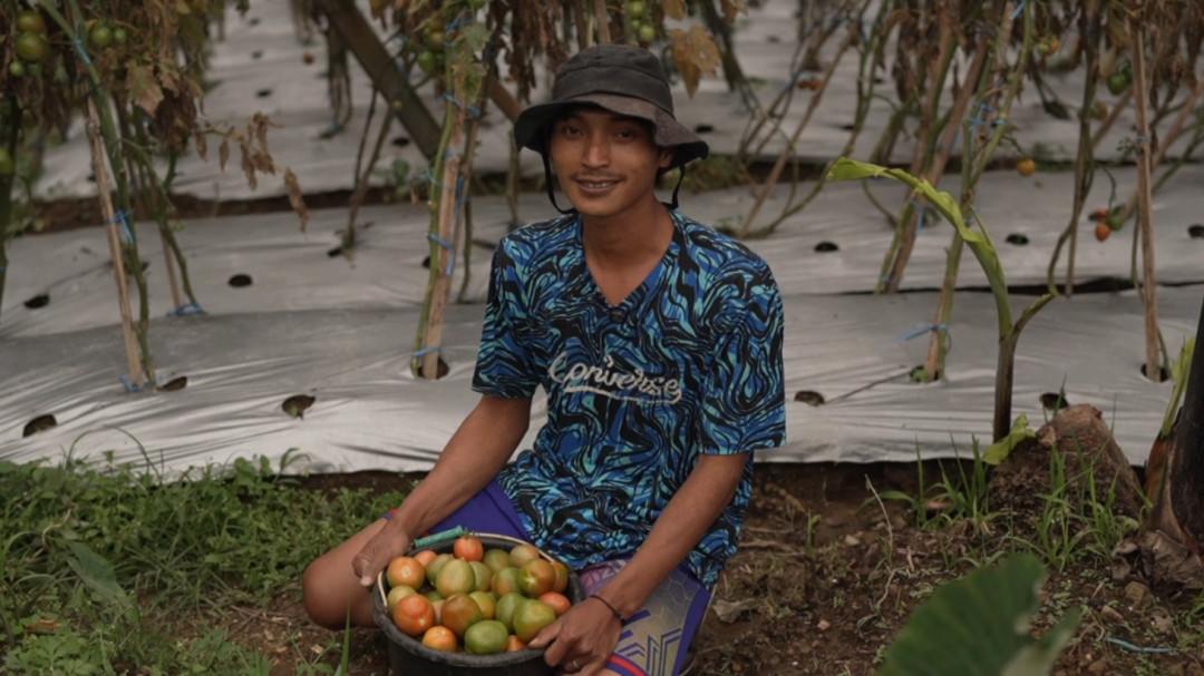 Program MBG Bawa Harapan Baru bagi Petani Sayuran di Lereng Merapi