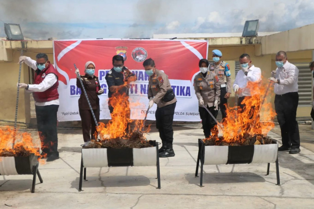 Polda Sumbar Musnahkan Puluhan Kilogram Ganja
