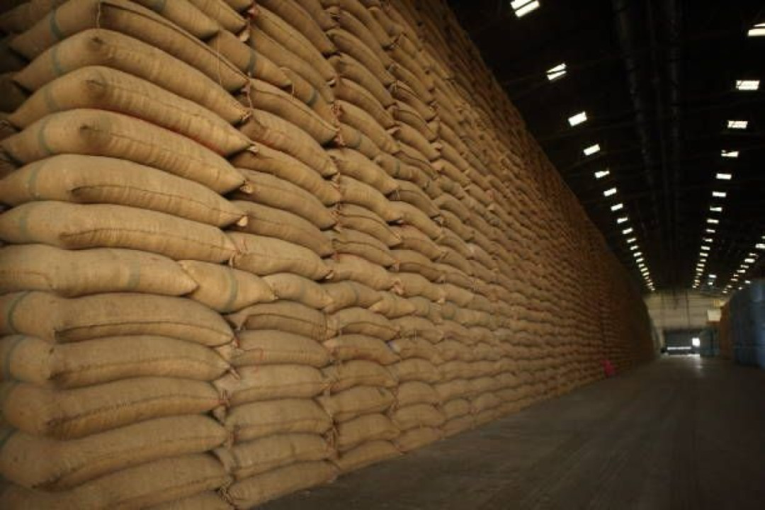 Harga Beras Medium dan Premium Naik, Stok Pemerintah Tembus 4 Juta Ton