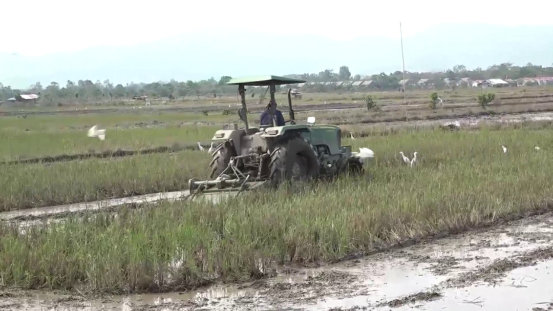 Sultra Dapat Tambahan 10 Ribu Hektare Cetak Sawah Baru, Targetkan Produksi GKG 1 Juta Ton