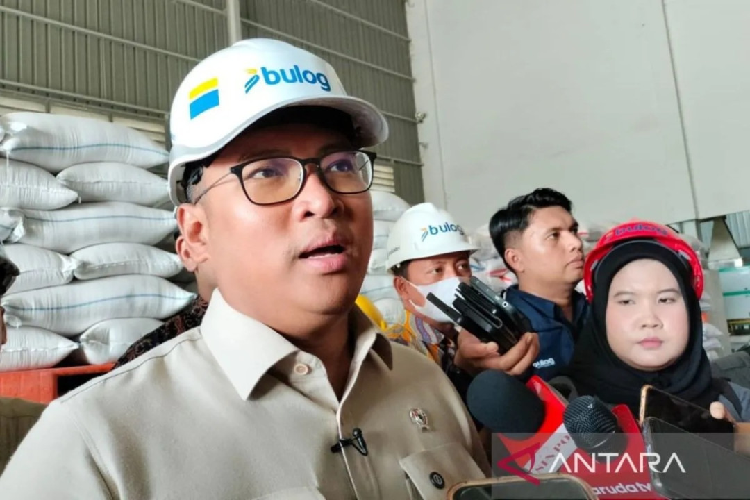Wamentan: Bulog Akan Membeli Gabah Langsung untuk Bantu Petani