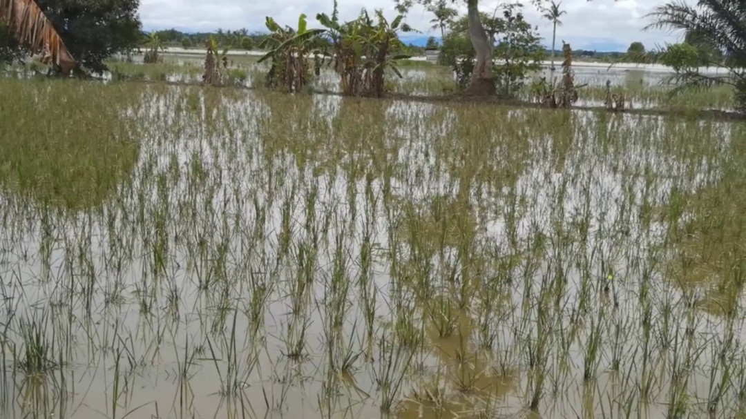 Dampak Banjir Bayangi Stabilitas Harga Pangan di Kalsel Jelang Ramadan