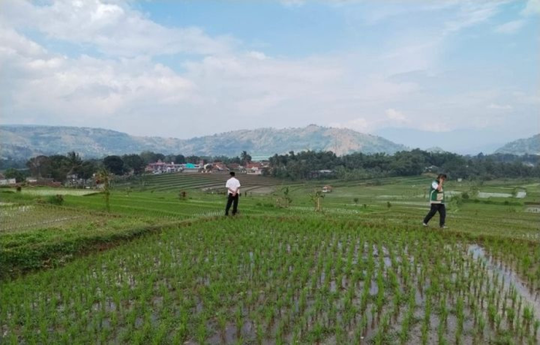 Kementan dan Pemprov Jabar Antisipasi Kemarau Panjang 2026