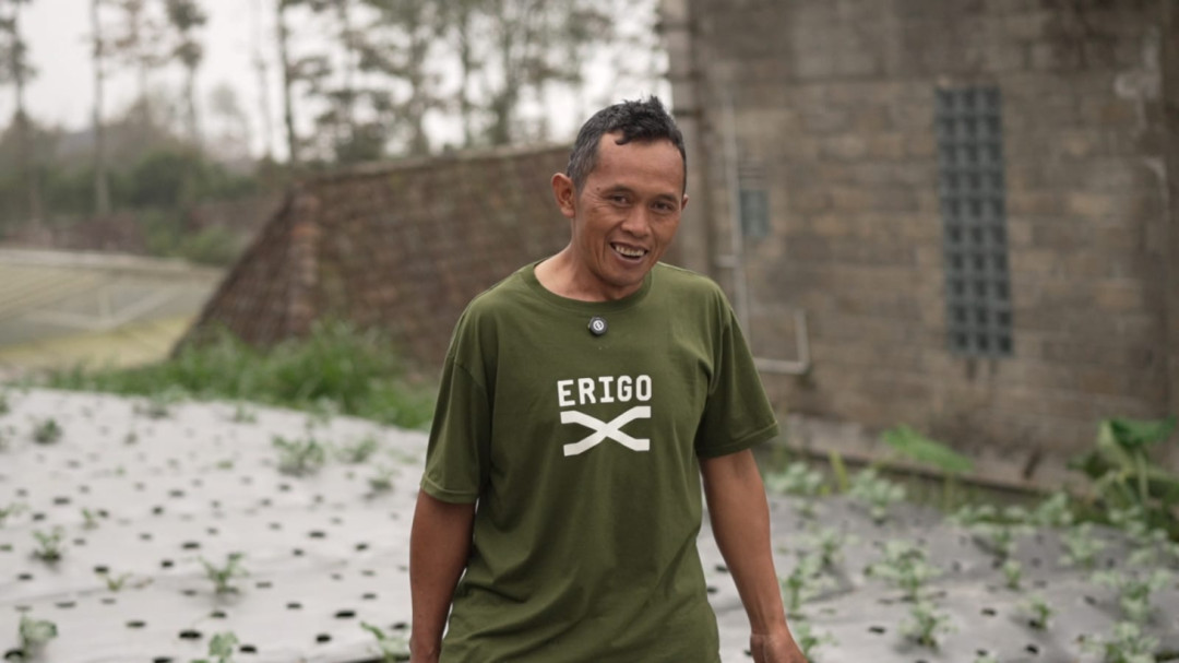 Dampak Program MBG di Boyolali, Petani Sayur: Harga Jual Kini Lebih Baik