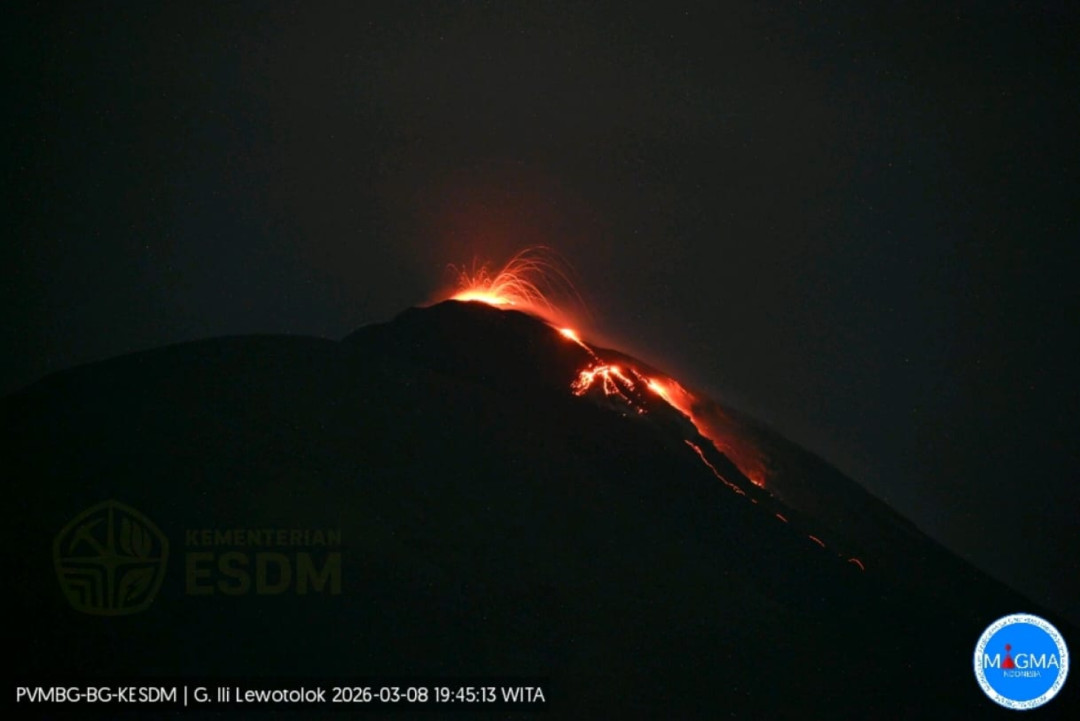 Dua Gunung Api di Flores Timur dan Lembata Erupsi dalam Sehari
