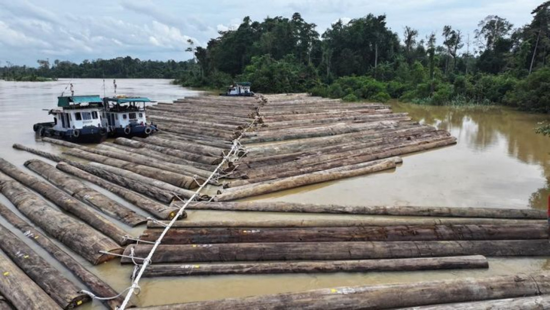 Kemenhut Pastikan Kayu di Sungai Kapuas Legal dan Diawasi Ketat