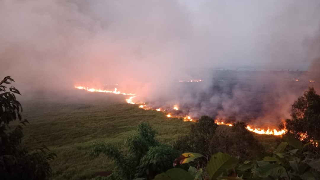 Karhutla Di Kabupaten Poso Ancam Puluhan Permukiman Warga