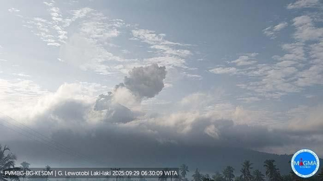 Gunung Lewotobi Laki-laki Kembali Erupsi, Kolom Abu Capai 1.500 Meter