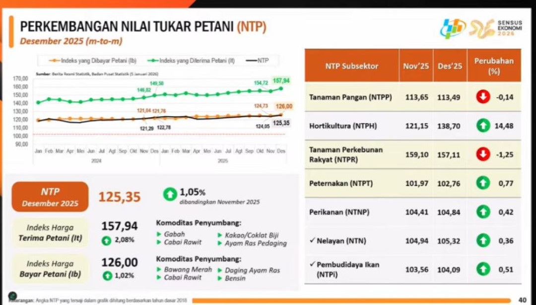BPS Catat Kenaikan NTP dan Harga Beras pada Desember 2025