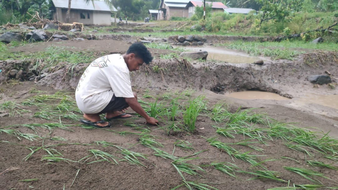 Banjir dan Longsor Terjang Sikka, BNPB Soroti Dampak di Tengah Mobilitas Lebaran