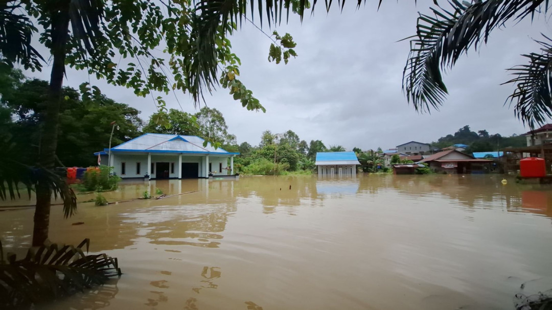Pemprov DKI Antisipasi Banjir Rob, Gubernur Pramono: Kami Tangani Secara Terencana