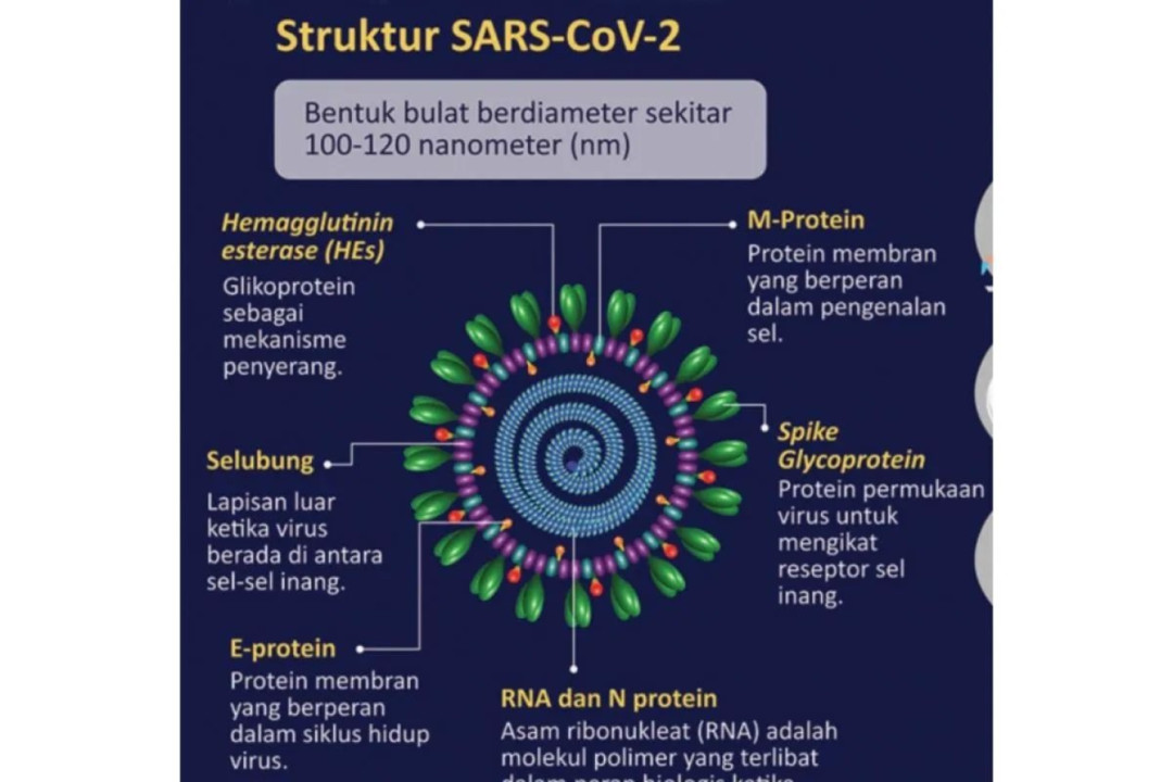 Kemenkes: Jamaah Haji Waspadai Penularan MERS-CoV di Tanah Suci