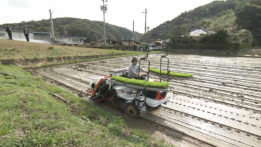 Apa Yang Terjadi Dengan Pertanian Jepang?