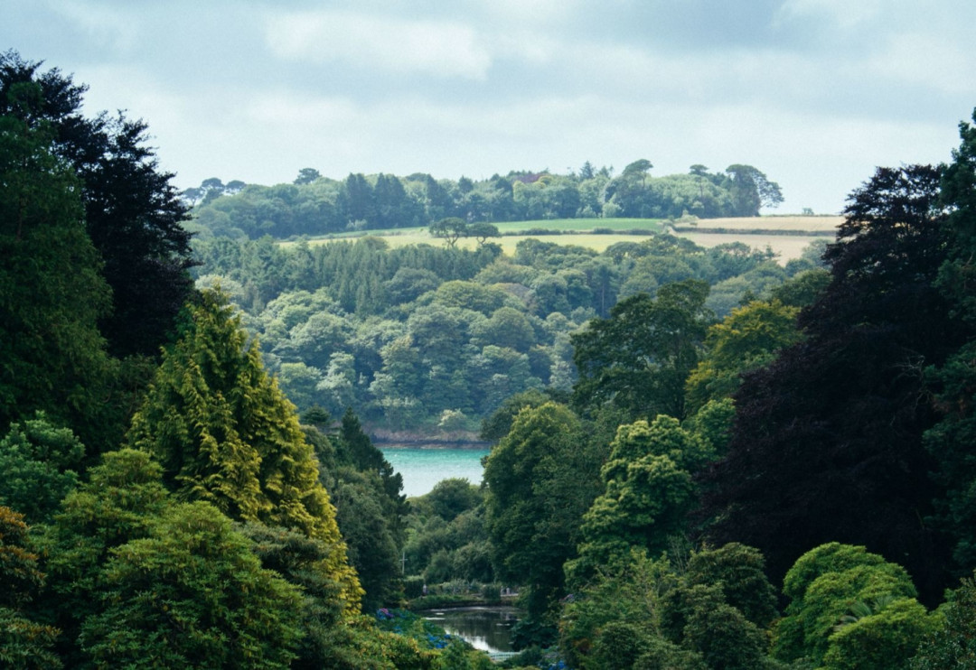 Kemenhut Tegaskan Kedatangan Kejagung Bukan Penggeledahan